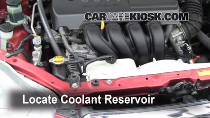 How to Add Coolant: Toyota Corolla (2003-2008) - 2007 Toyota Corolla CE ...